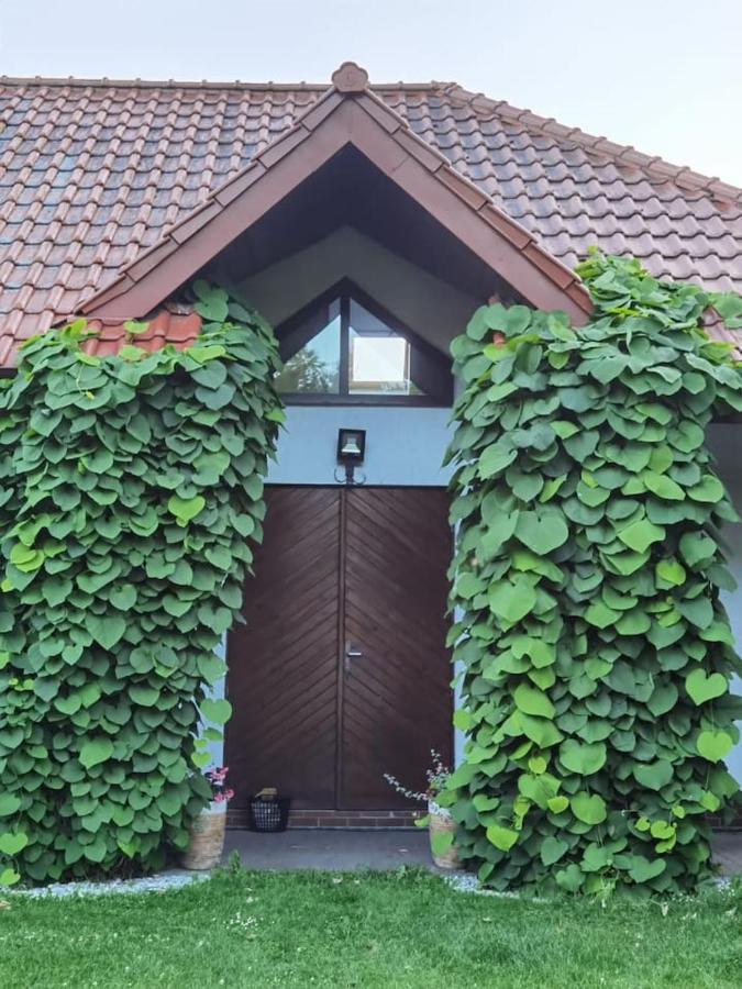 Apartment Wodna Ostoja Z Pokojem Zabaw Nad Jeziorem *